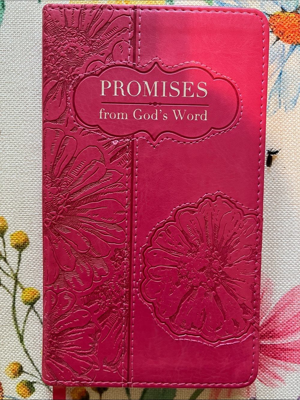 “Promises from God's Word”